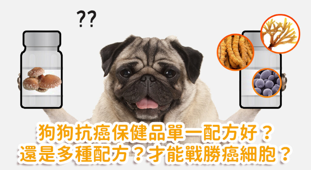 狗狗癌症營養學：多重配方協同抗癌機制