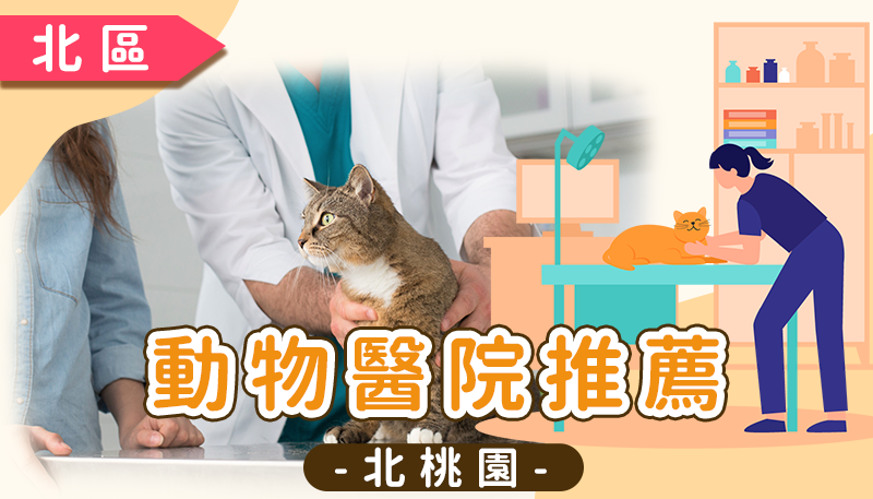 北桃園動物醫院推薦清單:桃園區、八德、蘆竹、南崁優質獸醫診所與 24 小時急診資訊