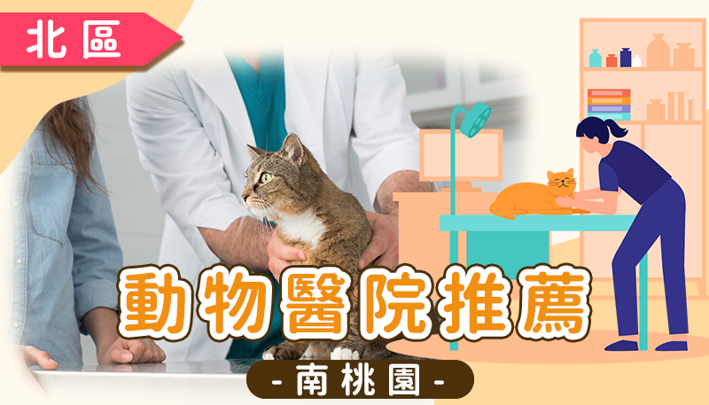 南桃園動物醫院推薦清單：中壢、大園、楊梅、龍潭優質獸醫診所與 24 小時急診資訊
