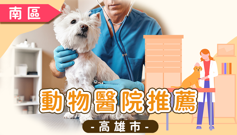 高雄市動物醫院推薦清單:三民、鳳山、左營、苓雅優質獸醫診所資訊