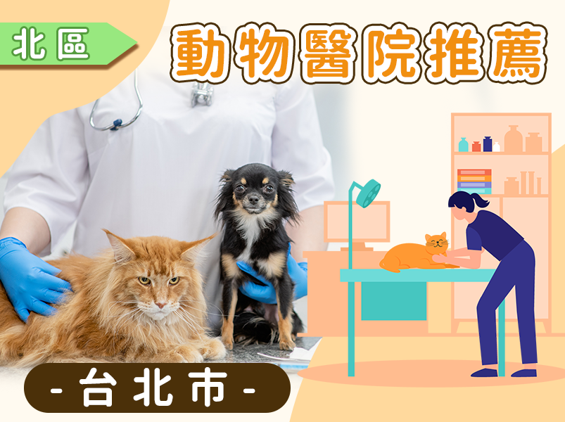 台北市動物醫院推薦清單：中正、信義、大安區優質獸醫診所與 24 小時急診資訊