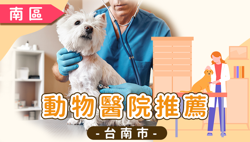 台南市動物醫院推薦清單：東區、永康、安平、善化優質獸醫診所與 24 小時急診資訊