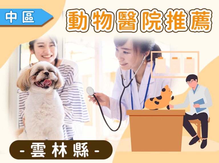 雲林動物醫院推薦清單：斗六、虎尾、斗南、麥寮優質獸醫診所與 Google 評價資訊