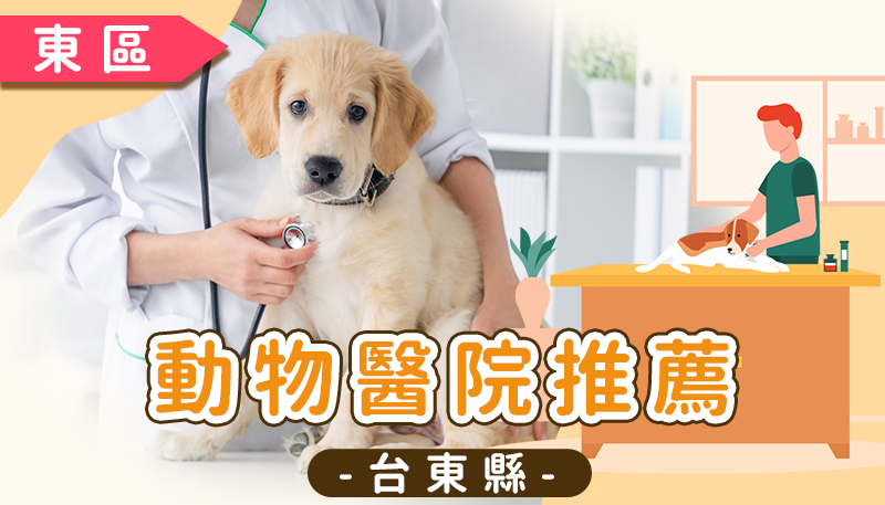 台東動物醫院推薦清單：台東市、關山鎮優質獸醫診所與 Google 評價資訊，涵蓋特寵門診
