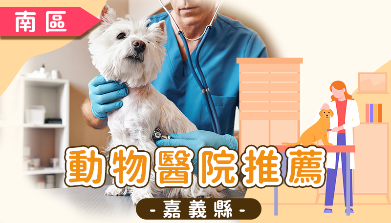 嘉義動物醫院推薦清單：嘉義市西區、東區、民雄、水上 24 小時急診與專業獸醫診所