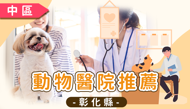 彰化動物醫院推薦清單：涵蓋彰化市、員林、和美 24 小時急診與專業獸醫診所